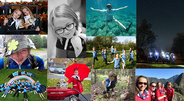 2014 winners collage