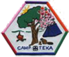 Girl Guides Ontario Camp Teka main crest