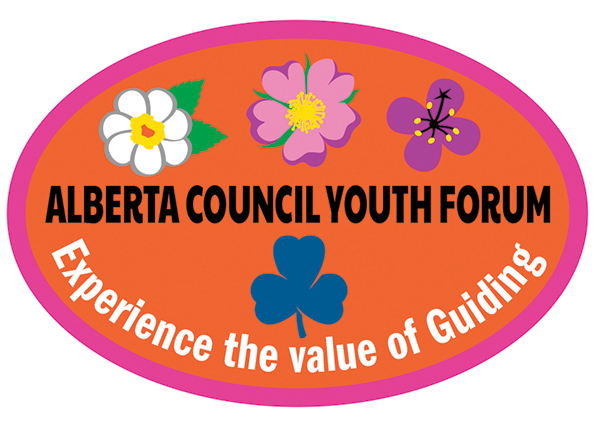 ANY Council Youth Forum crest