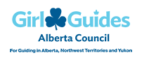 ANY Council Logo