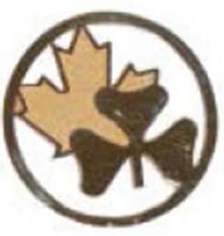 Volunteer Girl Guides Canada 3 Leaf Clover Silver old LAPEL PIN 
