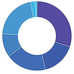 2017 Expenses chart