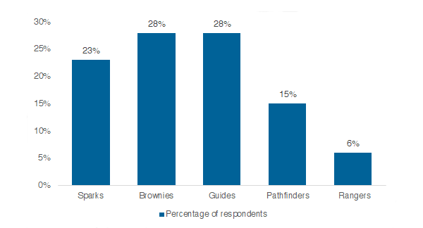 Respondents by Branch graph