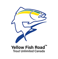 Yellow Fish Road logo